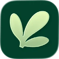 Allergy Buddy store link app